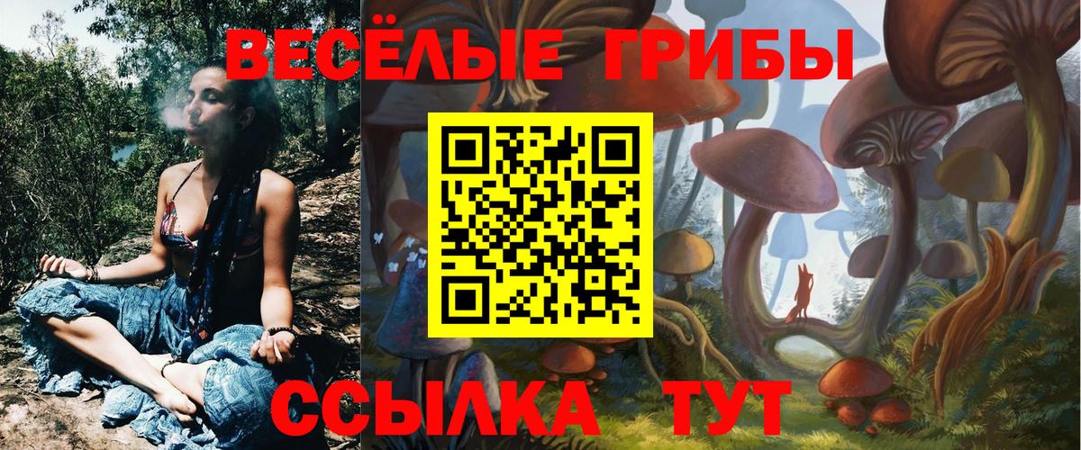 Псилоцибиновые грибы ЛСД  Волжский 