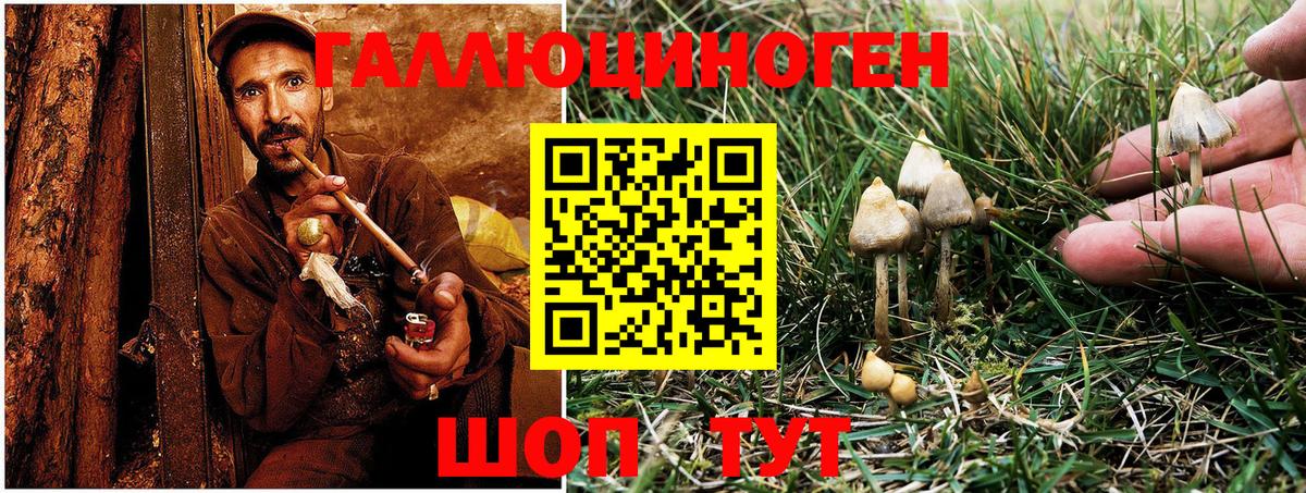 Каннабис  Волжский  MDMA  Героин  ГАШ  ГАШИШ  Меф МЯУ МЯУ кристаллы  ЭКСТАЗИ 