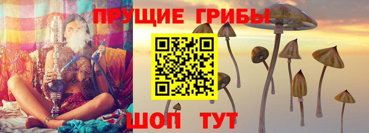 Волжский  Псилоцибиновые грибы GOLDEN TEACHER  Вход с VPN 