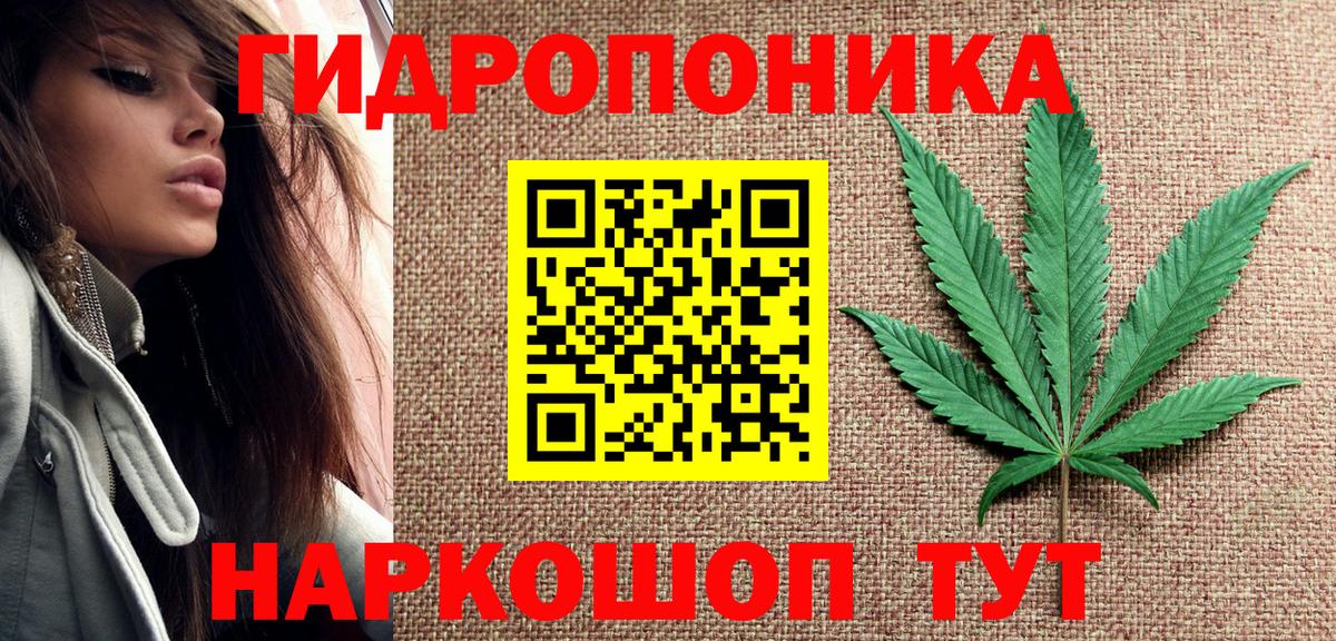 Шишки марихуана конопля  Вход с VPN  Волжский  МАРИХУАНА семена 