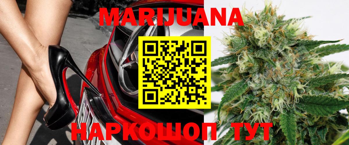 Каннабис сатива Волжский